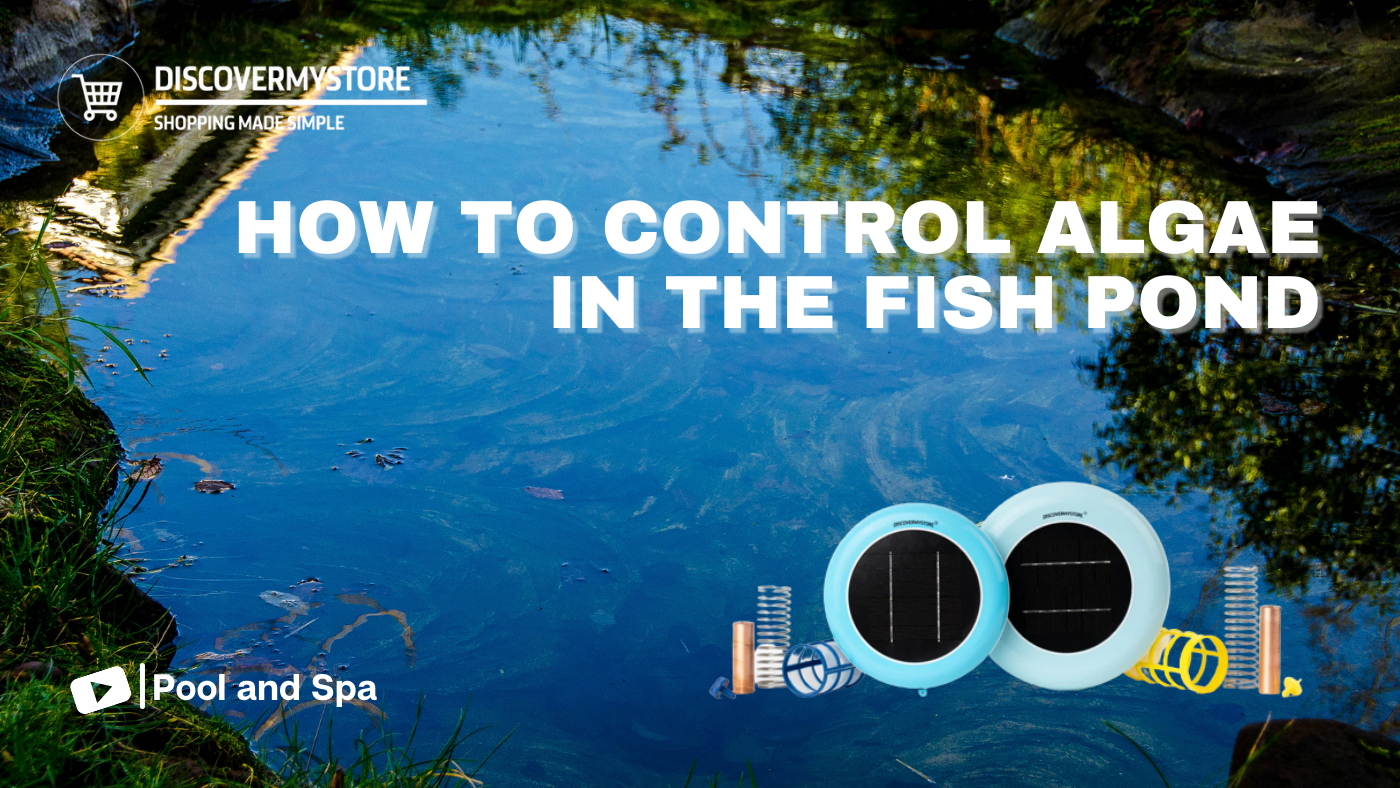 How to Control Algae in the Fish Pond How to Control Algae in the Fish Pond