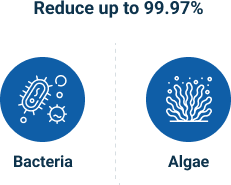 Reduce Up Reduce Up