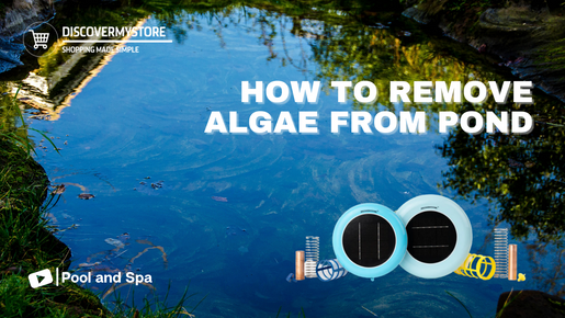 How to Remove Algae from Pond