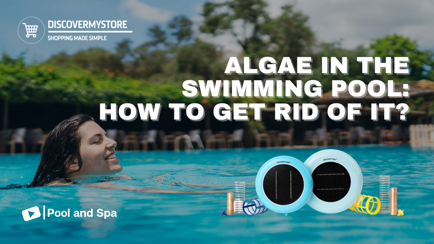 Algae in the Swimming Pool: How to Get Rid of It? 