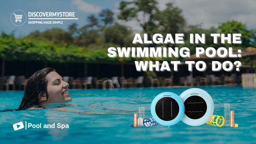 Algae in the Swimming Pool: What to Do?