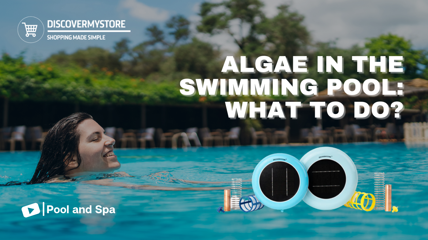 Algae in the Swimming Pool: What to Do? 