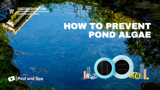 How to Prevent Pond Algae