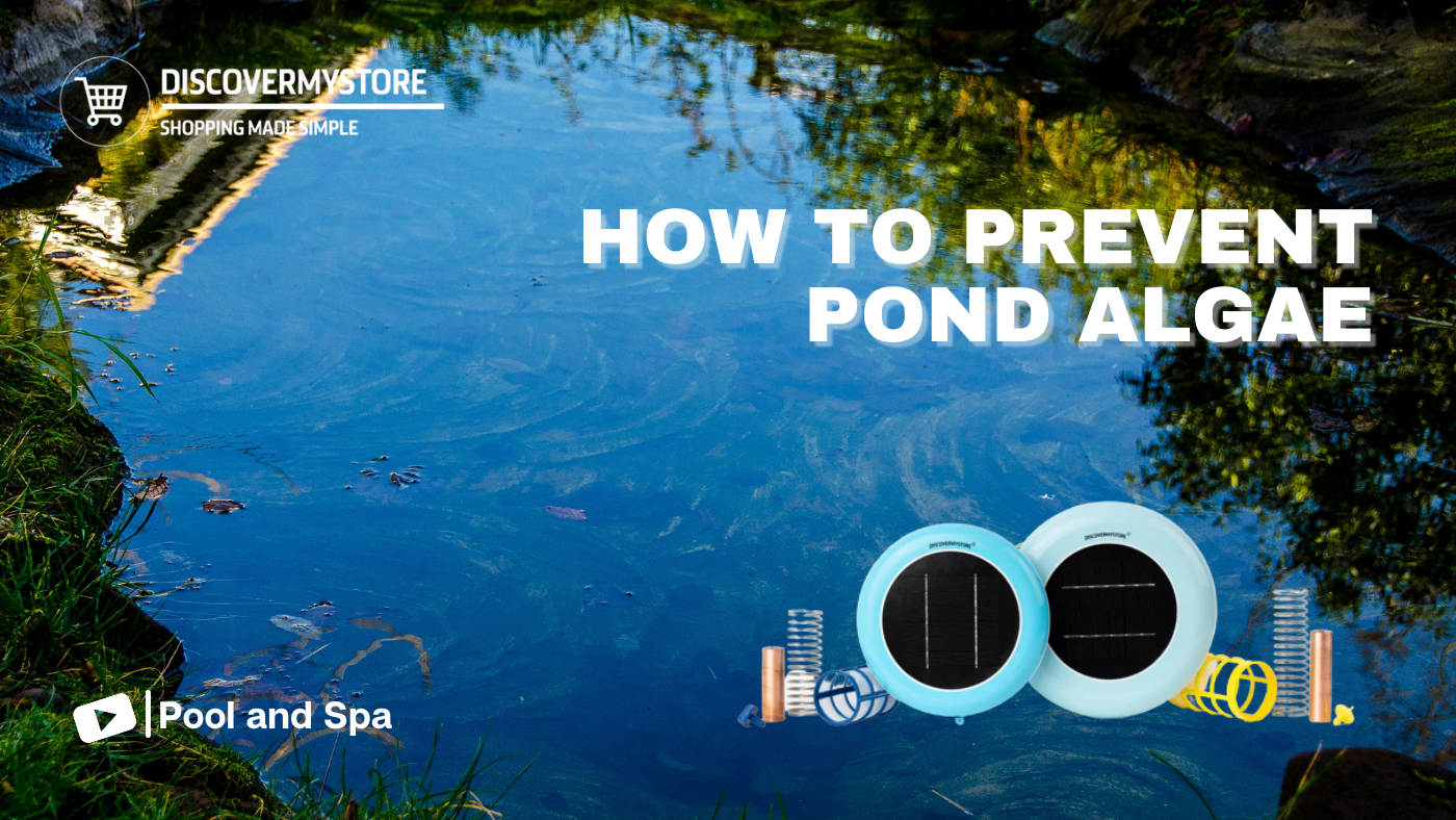 How to Prevent Pond Algae 