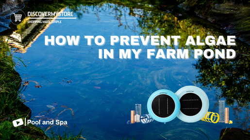 How to Prevent Algae in My Farm Pond