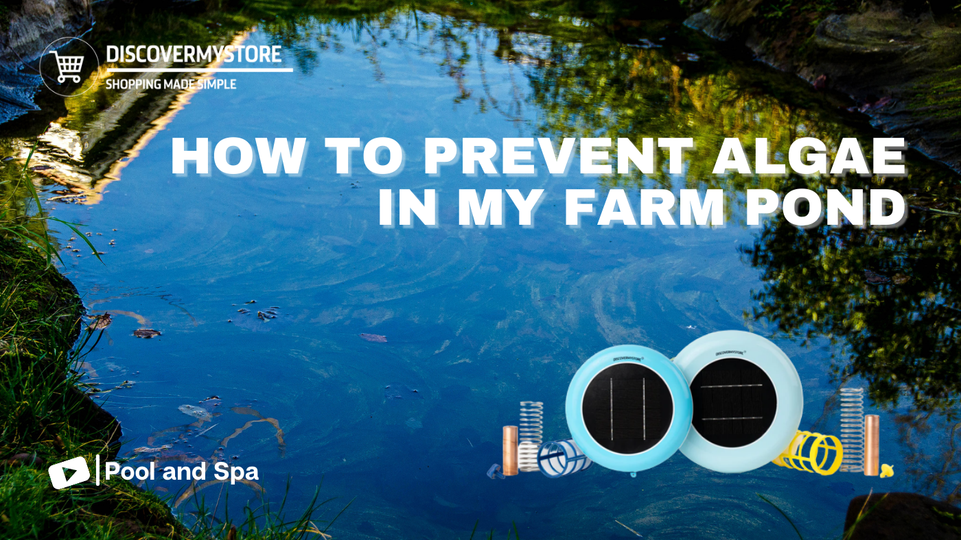 How to Prevent Algae in My Farm Pond 