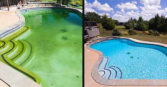 How to Clean a Green Pool